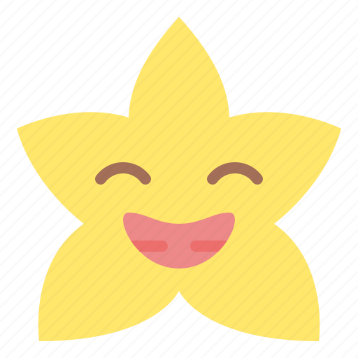 Big, smile, star, emoji, emoticon, feeling icon - Download on Iconfinder
