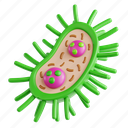 bacteria, microbiology, biology, stem, 3d icon, 3d illustration, 3d render 