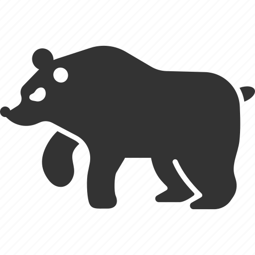 Animal, bear, fur, grizzly, predator, walking, wild life icon - Download on Iconfinder