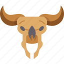 bison, skull, bull, animal, hunt