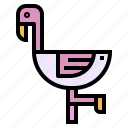animal, bird, flamingo, zoo