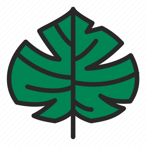 Hawai, leaf, nature, palm, plant, summer, tree icon - Download on Iconfinder