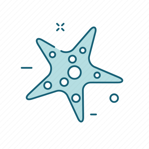 Starfish, beach, animal, sea icon - Download on Iconfinder