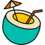coconut, fruit, beverage, juice, straw 