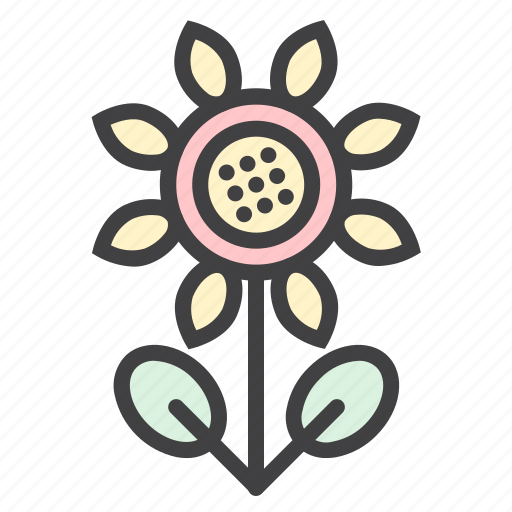 Sunflower, flower, plant, bloom, floral, summer icon - Download on Iconfinder