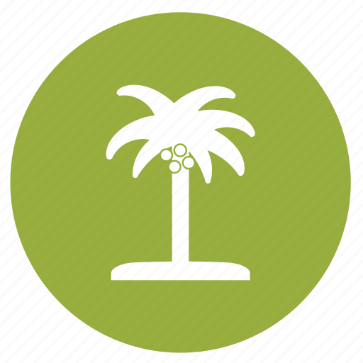 Summer, beach, coconut, coconut tree, palm, palm tree, island icon - Download on Iconfinder