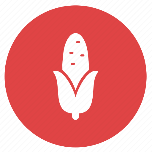 Summer, corn, farm, food, roasted corn, vegetable icon - Download on Iconfinder