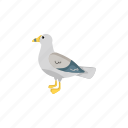 flat, icon, seagull