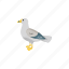 flat, icon, seagull 