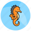seahorse, hippocampus, animal, specie, creature, underwater 