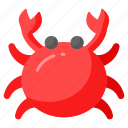 crab, seafood, aquatic, animal, food, decapod, creature