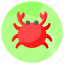 crab, seafood, aquatic, animal, food, decapod, creature 