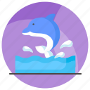 dolphin, mammal, animal, aquatic, orcas, specie, creature