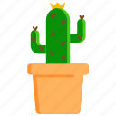 cactus, flower, flowerpot, fresh, garden, plant, thorn