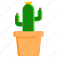 cactus, flower, flowerpot, fresh, garden, plant, thorn 