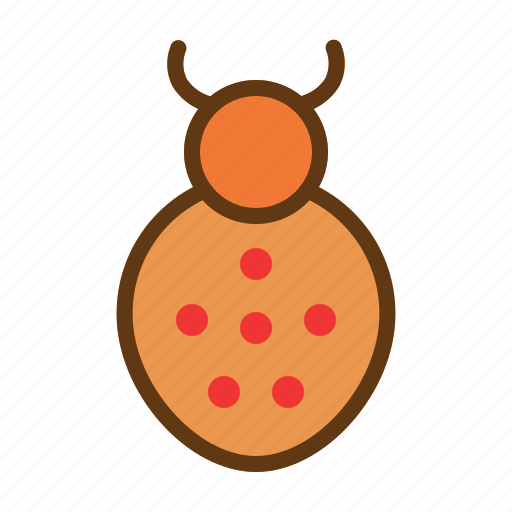 Beach, holiday, ladybug, nature, outdoor, summer, vacation icon - Download on Iconfinder