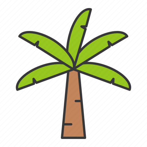 Coconut tree, summer, tree, vacation icon - Download on Iconfinder