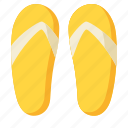 slippers, sandal, shoe, beach 