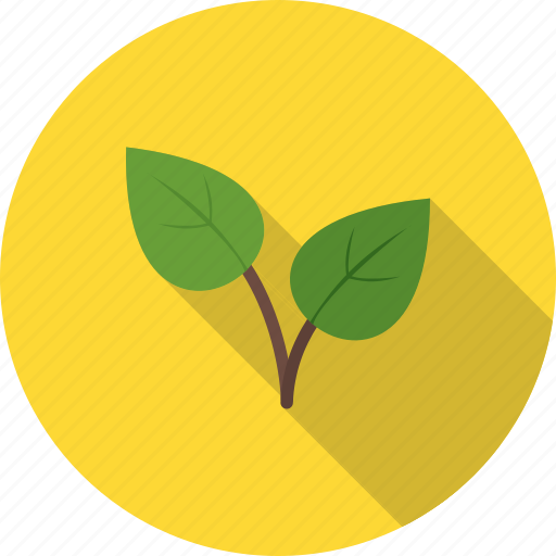 Ecology, garden, grow, leaf, leaves, nature, plants icon - Download on Iconfinder