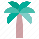 palm, tree, forest, nature, summer, plant
