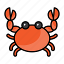 crab, animal, wild, nature, surimi, red crab 