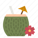 coconut, drinking, alcohol, cocktail, drinks