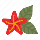 flower, hawaii, flowers, tropical, cultures