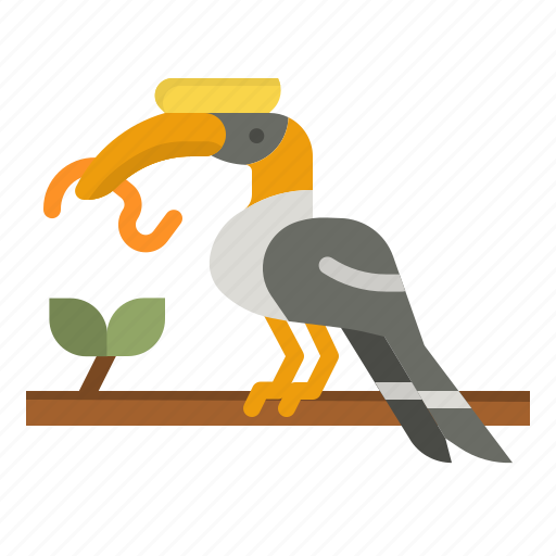 Hornbill, bird, entertainment, feather, zoo icon - Download on Iconfinder