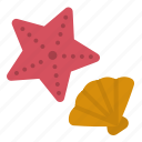 starfish, shell, seashell, beach, sea
