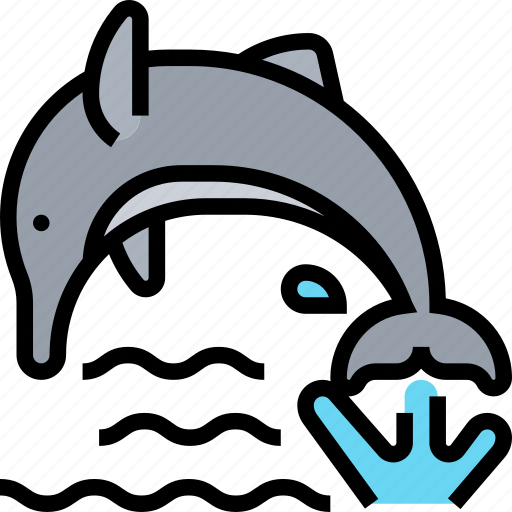 Dolphin, marine, underwater, aquatic, animal icon - Download on Iconfinder