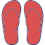 slipper, footwear, flipflop, beachwear 