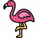 flamingo, bird, fauna, zoo, animal