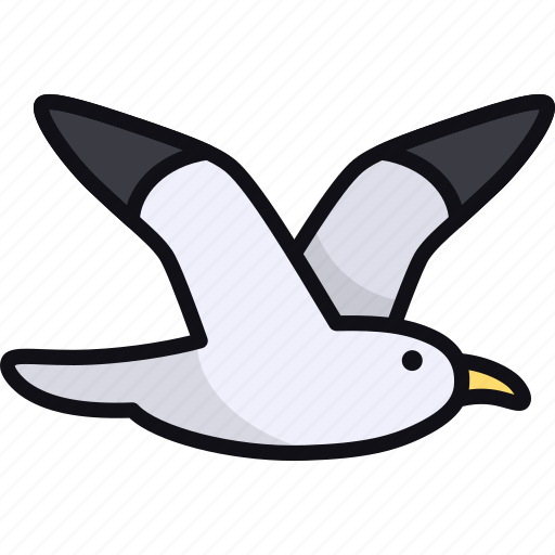 Seagull, bird, seabird, wildlife, animal icon - Download on Iconfinder