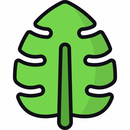 Tropical leaf, monstera leaf, nature, plant, botanical icon - Download on Iconfinder