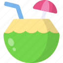 coconut water, coconut drink, beverage, fruit, tropical