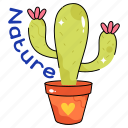 cactus, summer, travel, sketch, garden