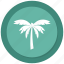 nature, palm, relaxation, tree, tropical, vacation, wave 