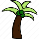 coconut, fruit, tree