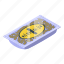 sunflower, seed, pack, isometric 
