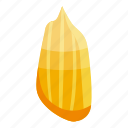 clean, sunflower, seed, isometric 