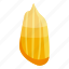 clean, sunflower, seed, isometric 