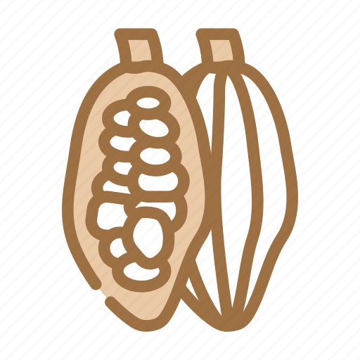 Cocoa, beans, superfood, natural, vitamin, ginger icon - Download on Iconfinder