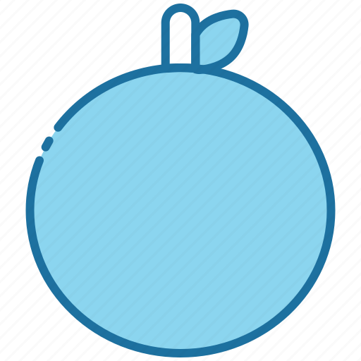 Fruit, fresh, healthy, food, sweet, organic, nutrition icon - Download on Iconfinder