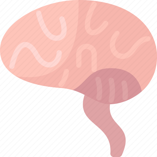 Neurosurgeon, brain, mind, cerebellum, psychology icon - Download on Iconfinder