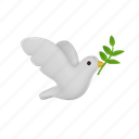 dove, peace, dove of peace, olive branch 