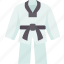 taekwondo, uniform, martial, arts, kick 