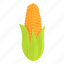 corn, maize, natural 