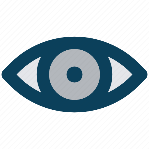 Target, eye, view, focus, show icon - Download on Iconfinder