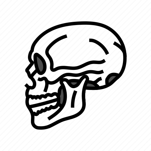 Skull, tattoo, vintage, color, rose, style icon - Download on Iconfinder
