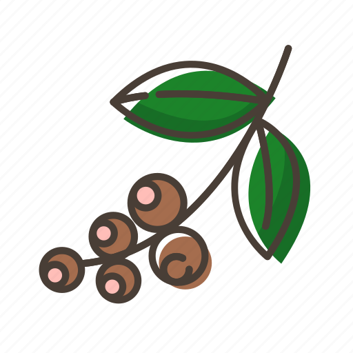 Download Beans, brunch, coffee, plant icon